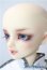 画像3: SDGr/ワンオフ水銀燈Saifa様 U-25-07-22-217-TN-ZU