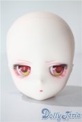 DD/DDH-29　カスタムメイクヘッド A-25-07-30-1094-NY-ZU