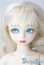 画像1: MYOUDOLL/Zuzana A-25-08-06-1096-TO-ZU (1)