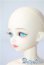 画像4: MYOUDOLL/Zuzana A-25-08-06-1096-TO-ZU