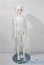 画像6: Charm Doll/1/4本体 A-25-08-06-1042-TO-ZU