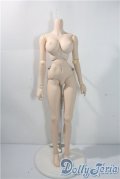 DD/ベースボディII A-25-08-06-1047-TO-ZU