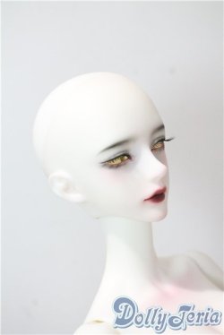 画像5: dollzone/WHITE Fullset A-25-08-13-1100-TN-ZU