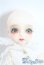 画像2: MYOU　DOLL/tang　tang A-25-08-13-1048-TN-ZU (2)