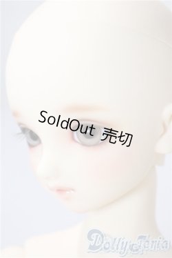 画像4: SD/まい：スタンダードモデル U-25-08-05-220-TO-ZU