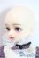 画像3: MYOU　DOLL/Zhuozhuoフルセット A-25-08-13-1049-TN-ZU