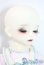 画像3: MYOU DOLL/Lorina Half Sleeping Version - Fullset A-25-08-13-1050-TN-ZU