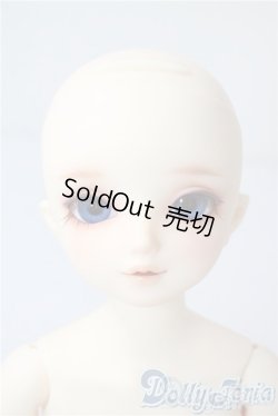 画像2: SDM/サキ　スタンダードモデル U-25-08-05-218-TN-ZU