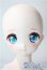 画像1: MDD/ドリームチョイス DC-H-22 A-25-08-13-1088-TN-ZU (1)