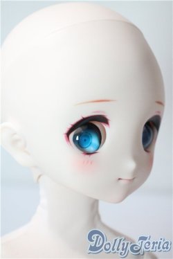 画像2: MDD/ドリームチョイス DC-H-22 A-25-08-13-1088-TN-ZU