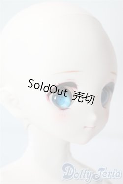 画像2: MDD/ドリームチョイス DC-H-22 A-25-08-13-1088-TN-ZU