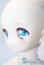 画像3: MDD/ドリームチョイス DC-H-22 A-25-08-13-1088-TN-ZU (3)