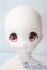 画像1: MDD/ドリームチョイス DC-H-22 A-25-08-13-1090-TN-ZU (1)