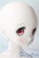画像2: MDD/ドリームチョイス DC-H-22 A-25-08-13-1090-TN-ZU (2)