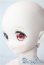 画像3: MDD/ドリームチョイス DC-H-22 A-25-08-13-1090-TN-ZU (3)