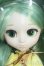 画像1: プーリップ/金糸雀 Y-25-08-06-018-TN-ZY (1)