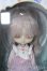 画像1: ヨルメ/Butzzi Y-25-08-13-266-KN-ZY (1)