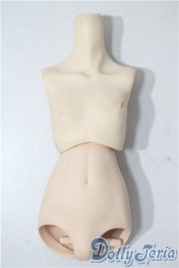 DD/ボディパーツセット A-25-08-13-1075-TN-ZU