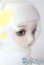 画像3: SDM/スタンダードモデルちよ U-25-08-19-215-TN-ZU
