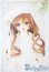 画像1: SDM女の子 ここ　スタンダードモデル U-25-08-19-216-TN-ZU (1)