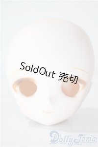 DD/DDH-01 ヘッド A-25-08-27-1079-TN-ZU