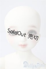 DeerSD/愛姫 U-25-08-19-211-TN-ZU