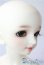 画像2: DeerSD/愛姫 U-25-08-19-211-TN-ZU (2)