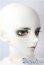 画像3: BJD CROBI/Lance Vampire 2023 White Day Limited A-25-08-27-1100-TN-ZU