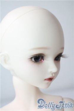 画像3: Myoudoll /Delia  1/4 A-25-08-27-1099-TN-ZU
