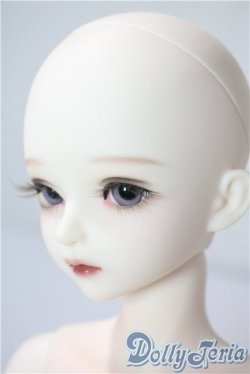 画像4: Myoudoll /Delia  1/4 A-25-08-27-1099-TN-ZU