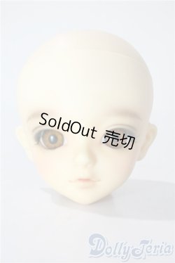 画像1: MSD/フルチョイスF-31 U-25-08-26-212-TN-ZU