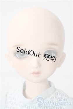 画像2: SDM/F-33:コーディネートモデル A-25-08-26-213-TN-ZA