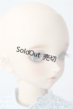 画像3: SDM/F-33:コーディネートモデル A-25-08-26-213-TN-ZA