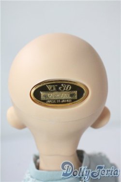 画像5: SDM/F-33:コーディネートモデル A-25-08-26-213-TN-ZA