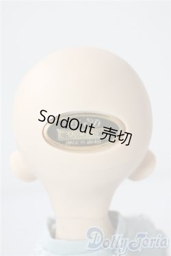 画像5: SDM/F-33:コーディネートモデル A-25-08-26-213-TN-ZA