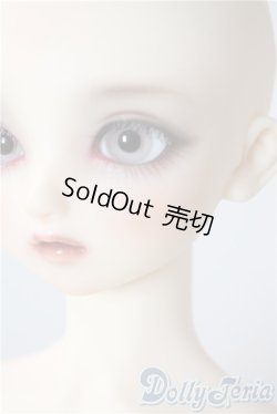 画像7: SD/まい：スタンダードモデル U-25-08-26-216-TN-ZU