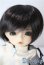 画像1: 幼SD/ダイ U-25-09-02-217-TN-ZU (1)