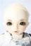 画像2: 幼SD/ダイ U-25-09-02-217-TN-ZU (2)