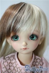 SDM/フルチョイスF-48 U-25-08-26-220-TN-ZU