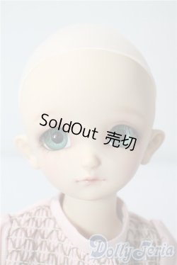 画像2: SDM/フルチョイスF-48 U-25-08-26-220-TN-ZU