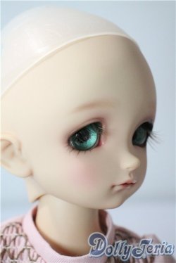 画像3: SDM/フルチョイスF-48 U-25-08-26-220-TN-ZU