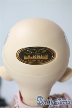 画像5: SDM/フルチョイスF-48 U-25-08-26-220-TN-ZU