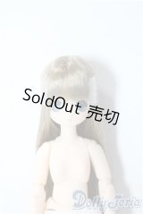 ピコえっくす☆きゅーと/こもれび森のちいさなどうぶつたち♪　りすさん／ちいか A-25-09-03-1083-TN-ZU
