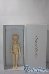 幼天使/真霧Sweet Dream 1st U-25-09-02-214-TN-ZU
