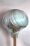 画像1: 9-10inch/ウィッグ U-26-04-29-272-TN-ZU (1)