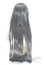 画像2: 9-10inch/ウィッグ U-25-09-09-225-TN-ZU (2)