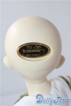 画像5: SDM女の子/コーディネートモデルF-45 A-25-09-09-208-TN-ZA