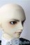 画像4: SD17男の子/ブラックジャック U-25-09-09-219-TN-ZU