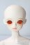 画像1: BLUEFAIRY/Theme special TF Nile - New face A-25-09-10-047-TN-ZA (1)