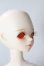 画像2: BLUEFAIRY/Theme special TF Nile - New face A-25-09-10-047-TN-ZA (2)